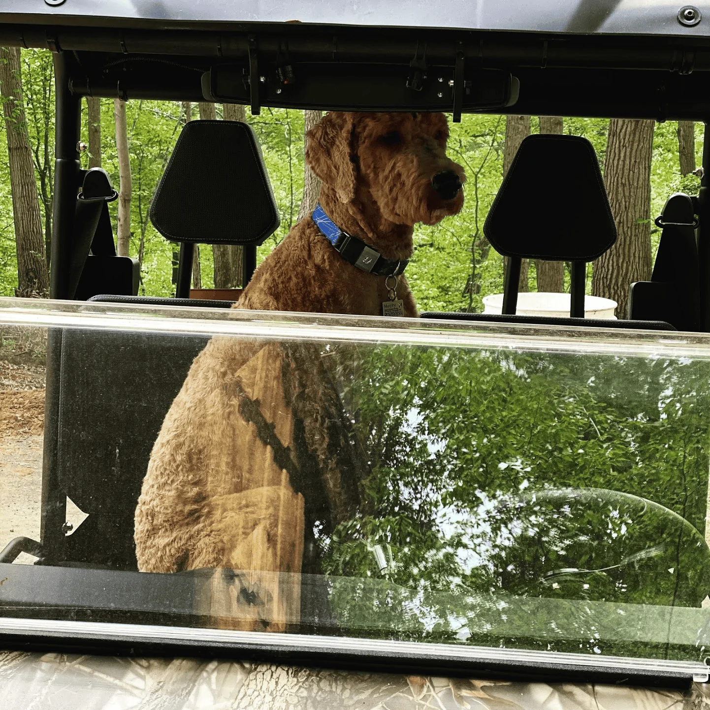 Ford Bronco The Dog Thread 🐾 1597690776110