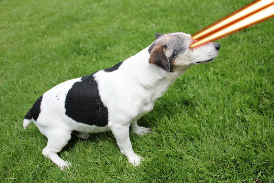 dWQiOlsidXJuOnNlcnZpY2U6aW1hZ2Uub3BlcmF0aW9ucyJdfQ.jpg