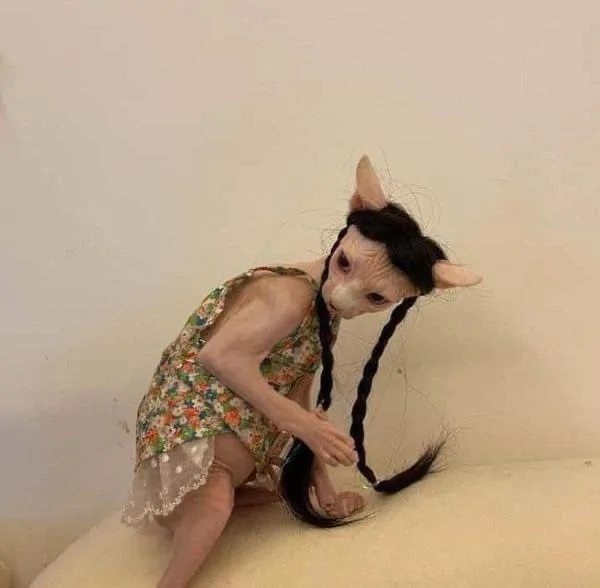 6750946B-3B58-4F21-A71C-9E1A2C9085C7.jpeg