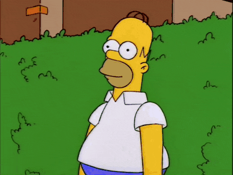 Ford Bronco Shenanigans? homer-bush