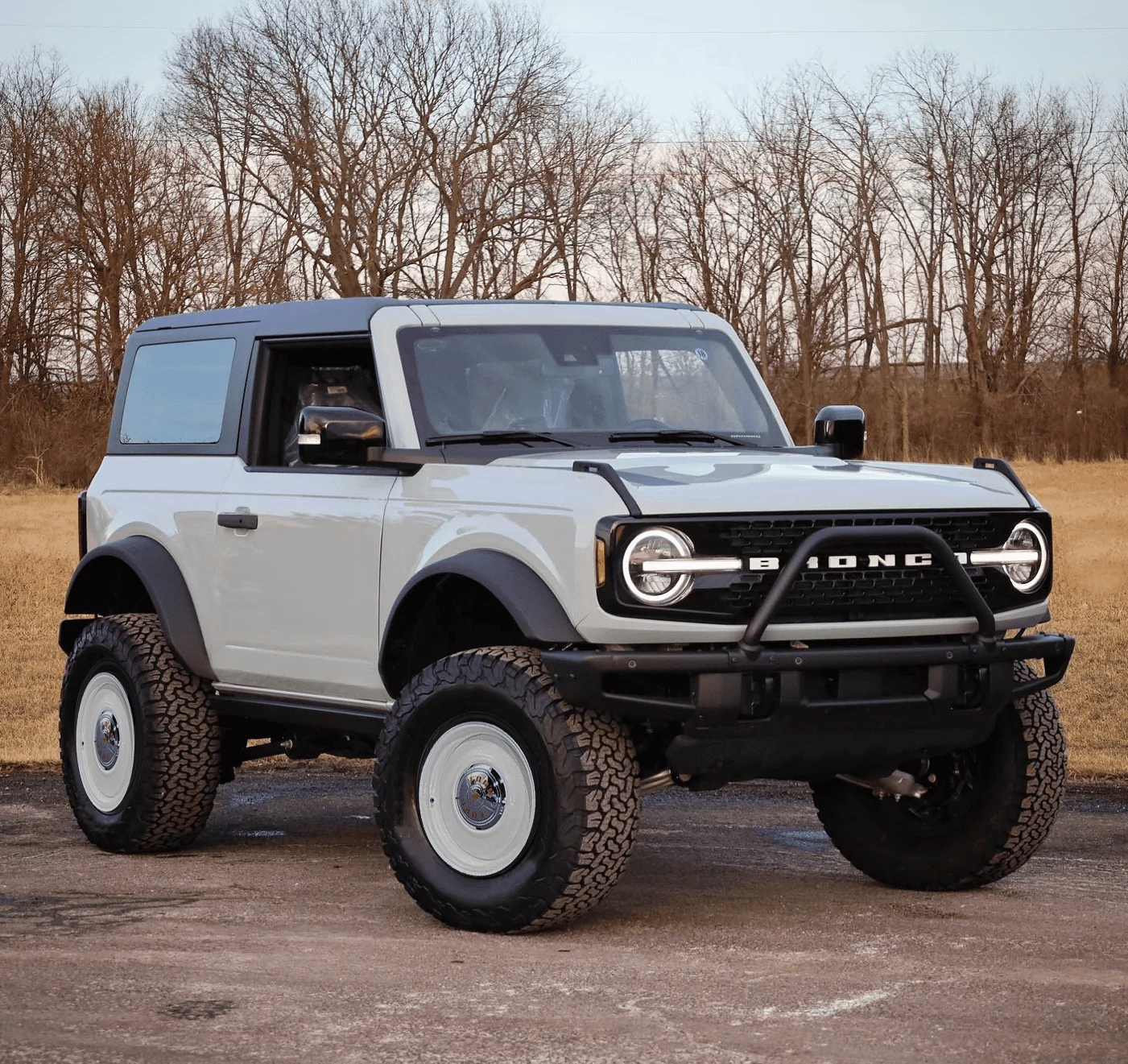 Bronco-CactusGrey-Wheelsmith.png
