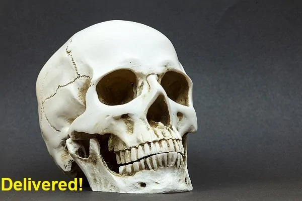 Ford Bronco Do/can we have a Bronco meme thread? human-skull