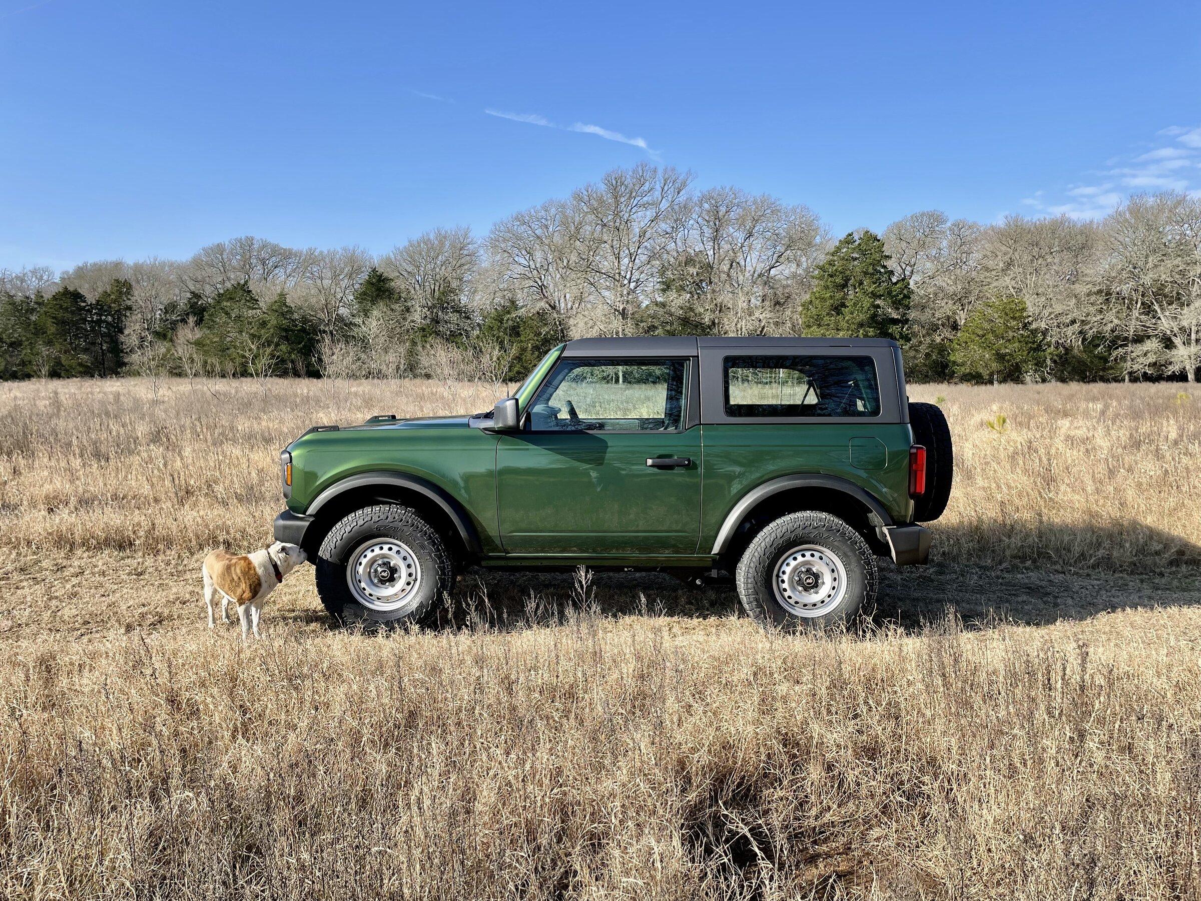 Ford Bronco Transport Damage 77FE8790-25CA-4DA6-B690-522FA3C8379E