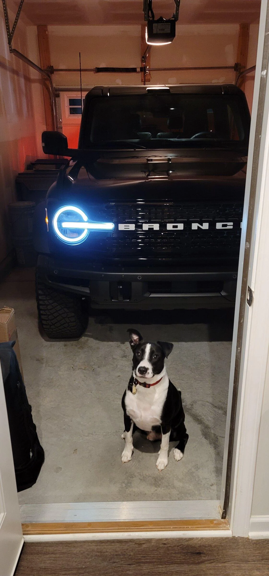 Ford Bronco Bronco Team 2 door. 20220129_222953