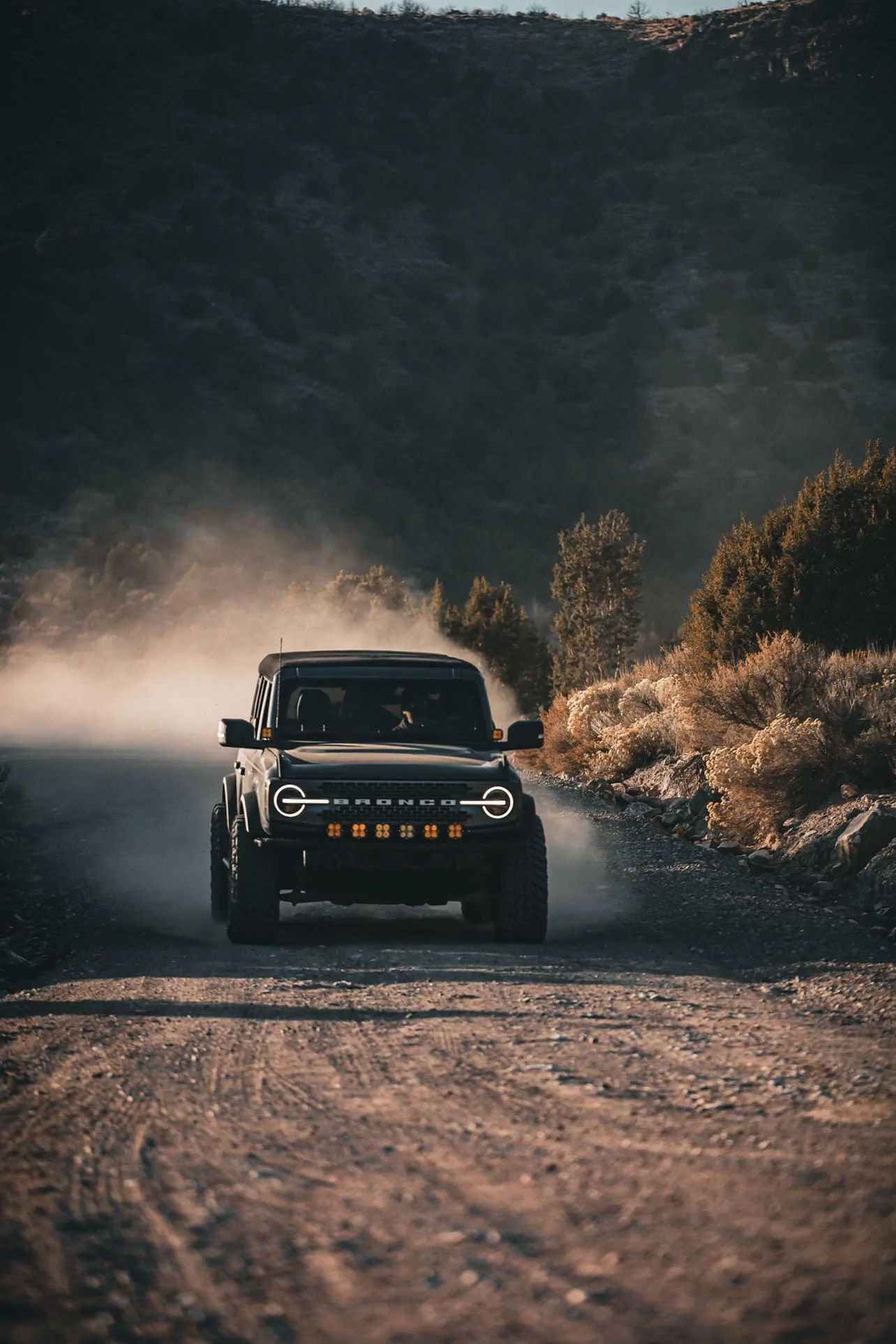 Ford Bronco The Buckinn Bronco Build 47690DB1-27AF-42D4-865A-77BC326F13F0