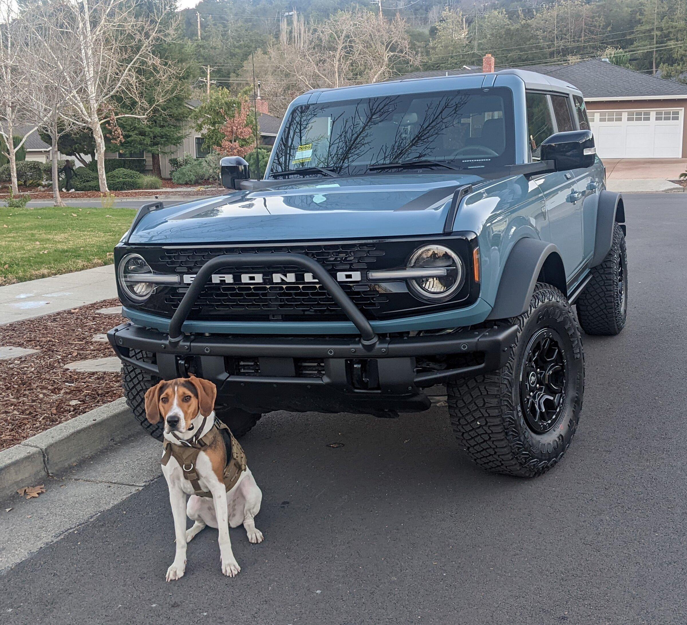 Ford Bronco First Edition Bronco Thread Broco_Pup_2