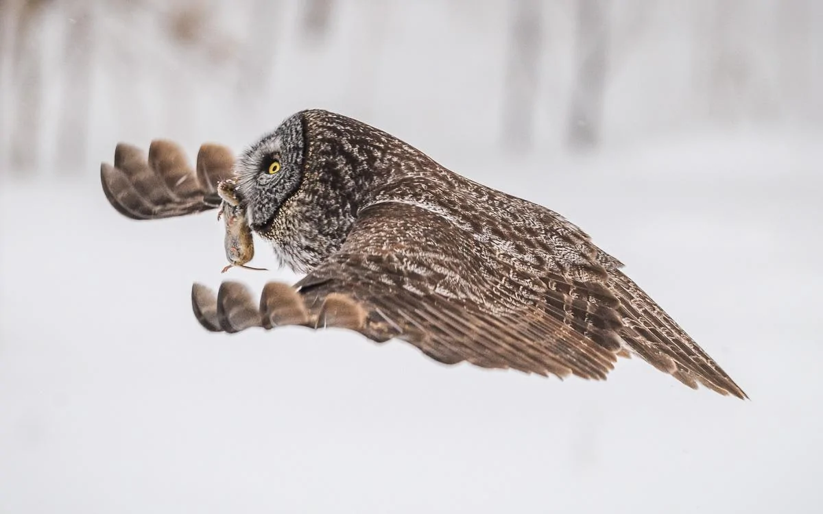 January 30, 2022_3665-LR.jpg
