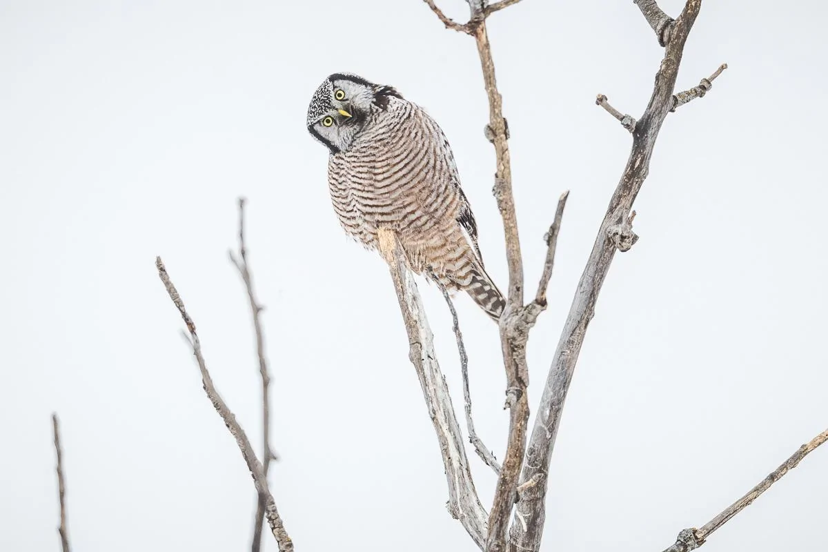 January 30, 2022_3754-LR.jpg