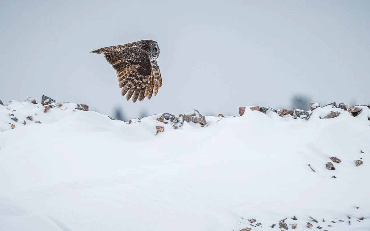 February 05, 2022_5050-LR.jpg