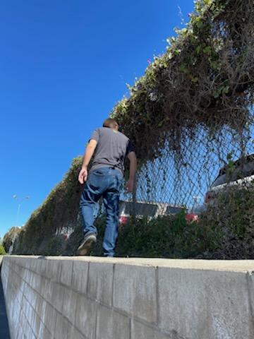 IMG_2008.jpg