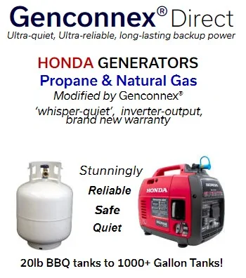 Ford Bronco What's your overlanding power solution? honda generator