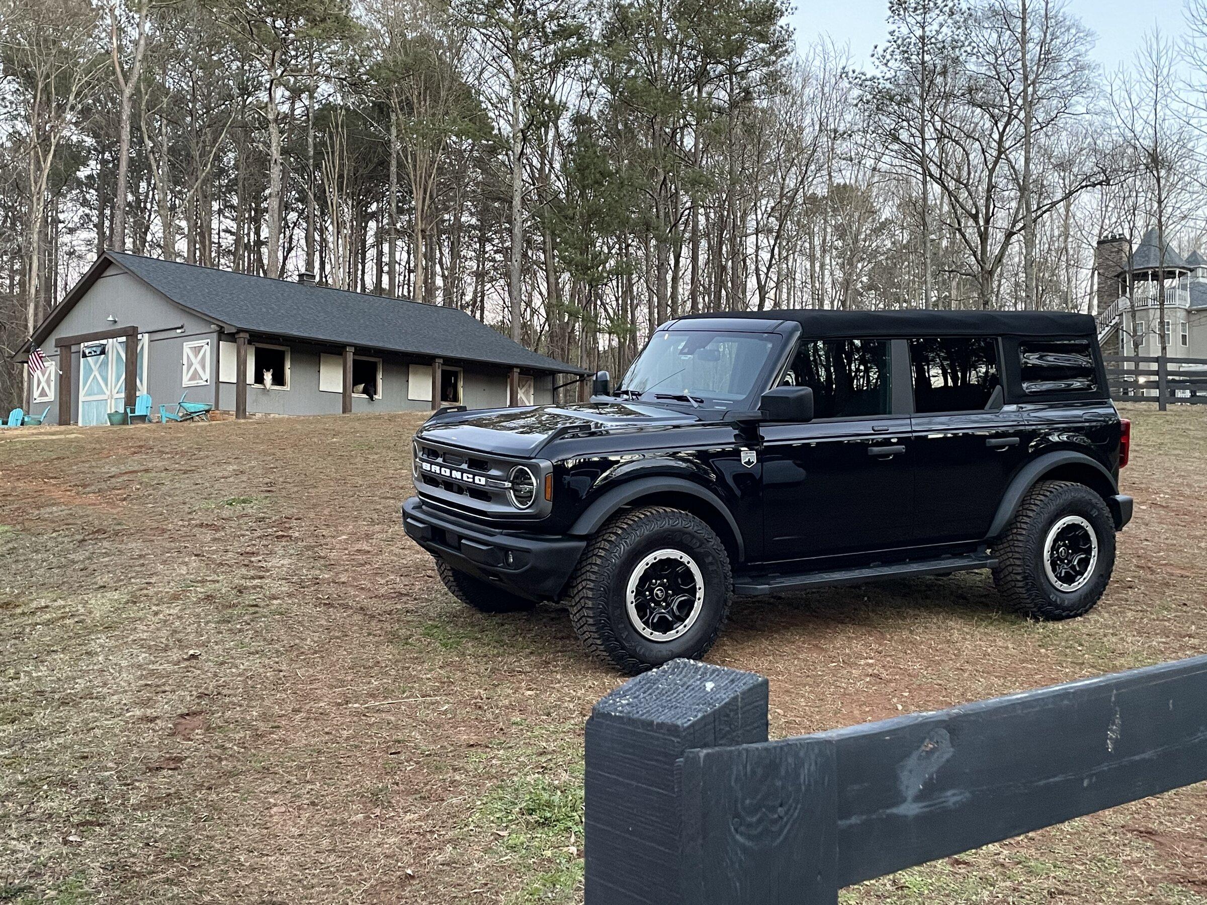 Ford Bronco Horses checking out the Bronco D6FF4BAD-7AB2-49AA-9535-EFBB9F79037F
