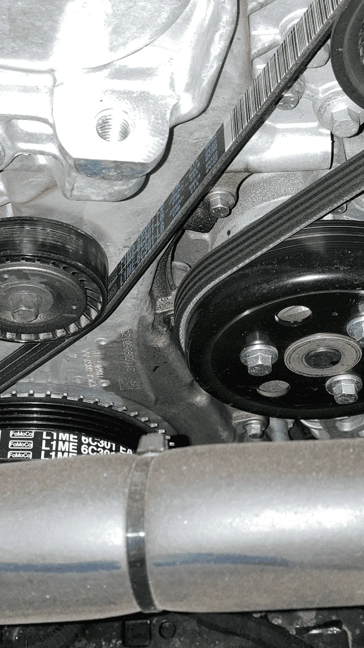 Ford Bronco Oil leak 2.3A 7386C608-B4F7-43AC-8382-FB5D52672E8F