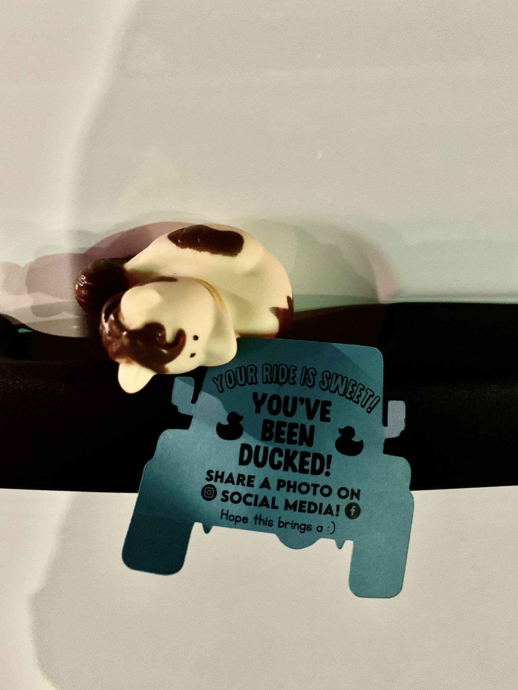 Ford Bronco I have been Ducked! E7F296F6-3691-4342-A5F4-F08A10E23C81
