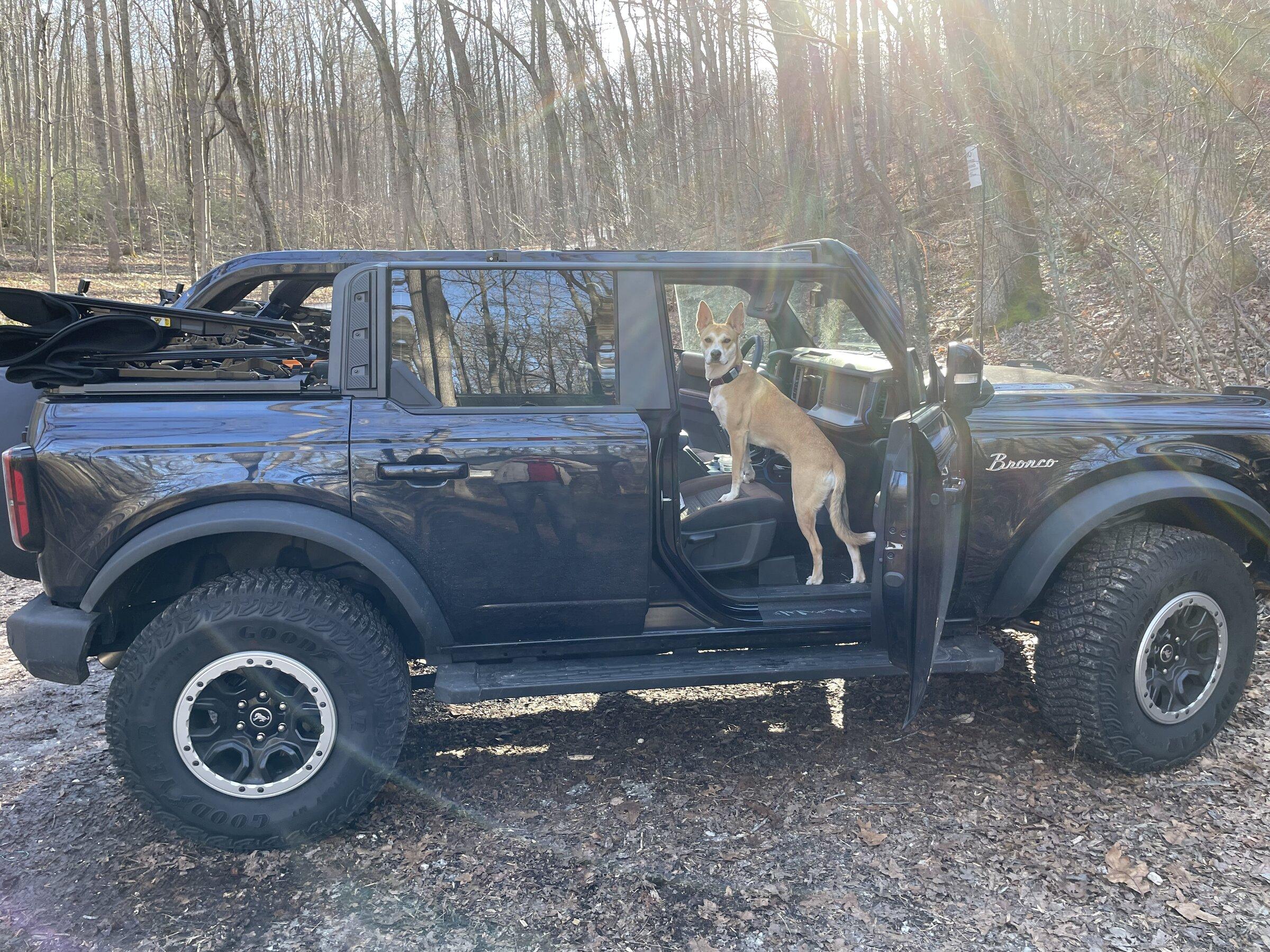 Ford Bronco Post Your Topless Broncos 8DD84DBB-FDF9-4E60-B41C-DB80C2A998B1