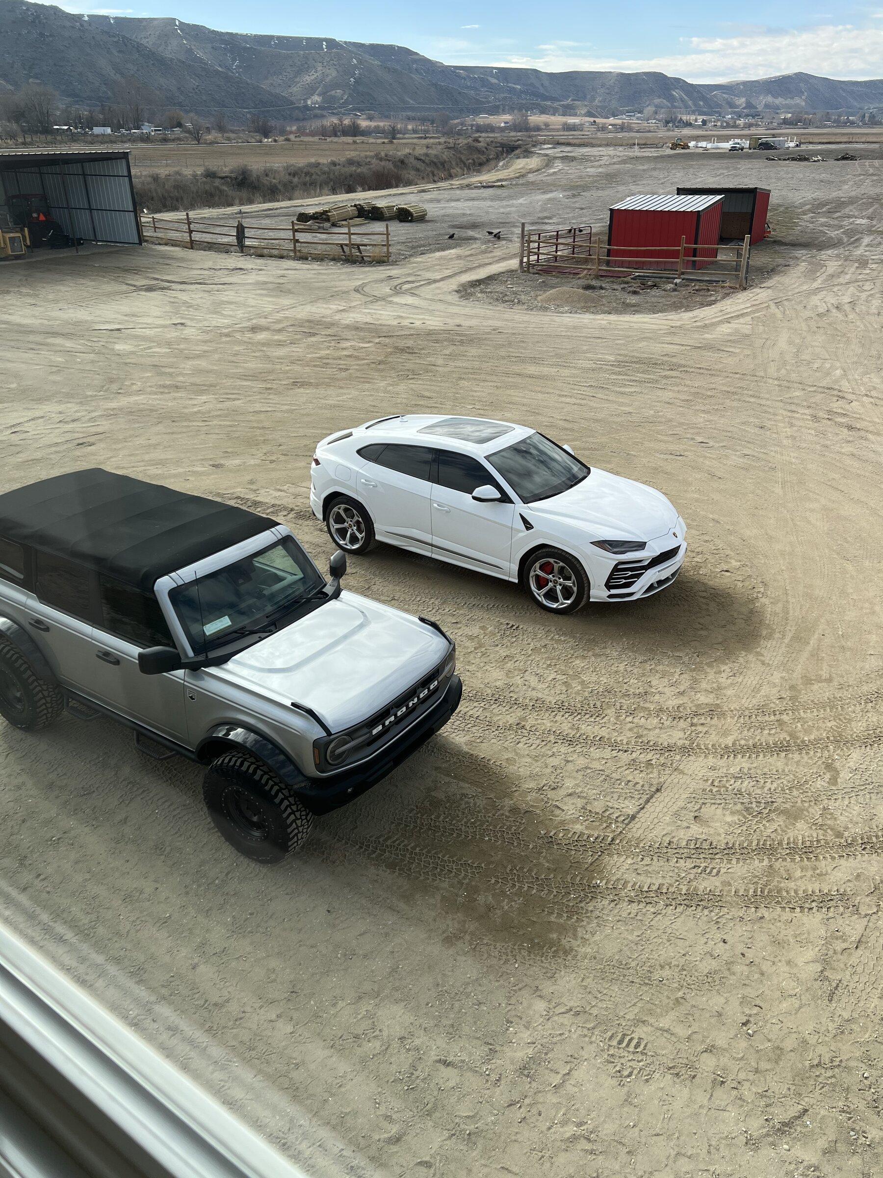 Ford Bronco Roll cage? 396D5438-62E7-48EF-8854-89BA9DC1095A
