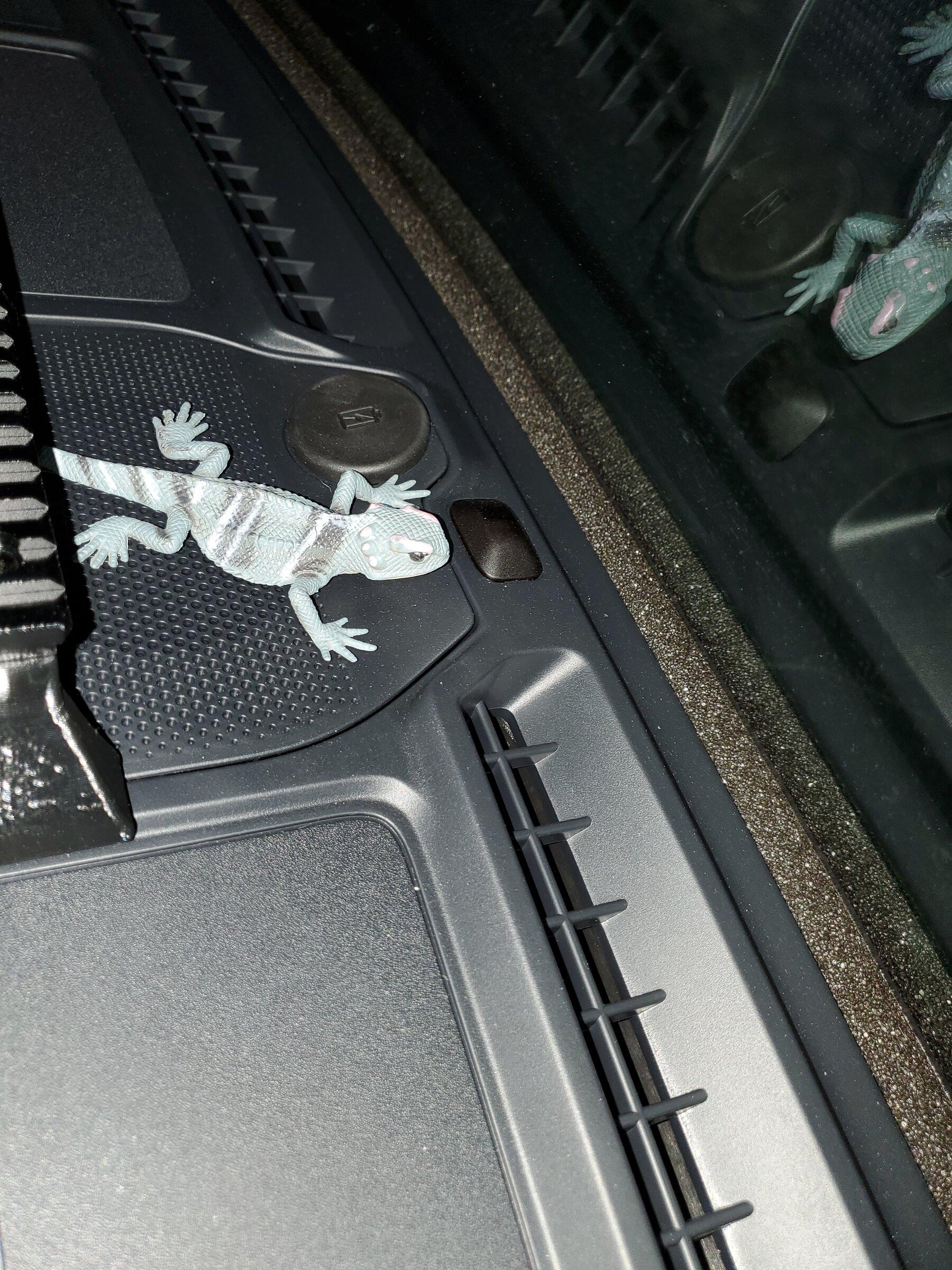 Ford Bronco NEW TREND FOR BRONCO OWNERS dash lizard