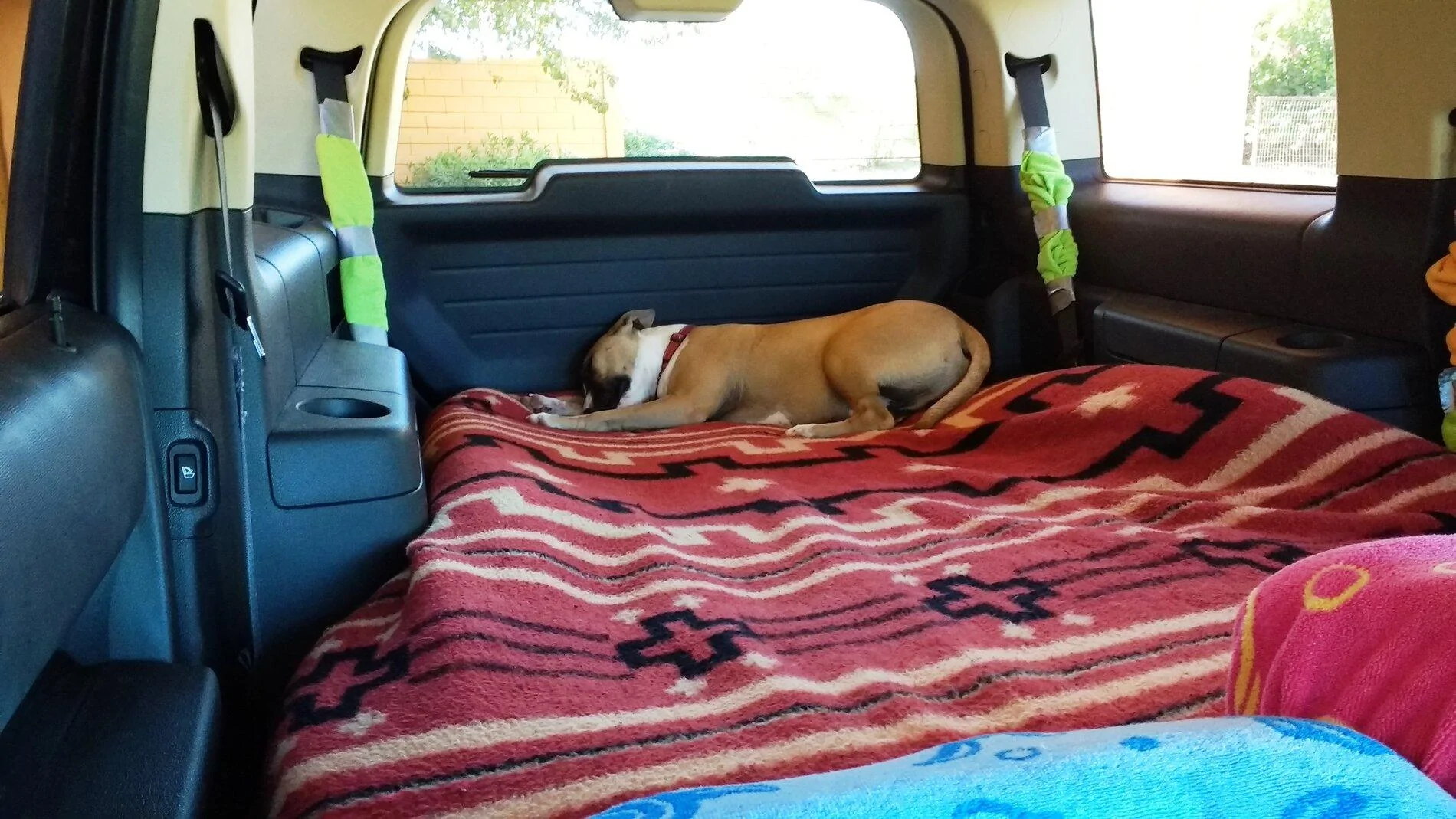 Ford Bronco The Dog Thread 🐾 IMG_20171027_093421340