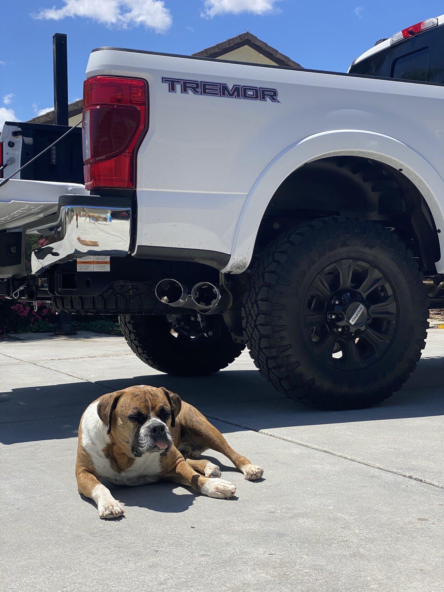 Ford Bronco The Dog Thread 🐾 IMG_5281