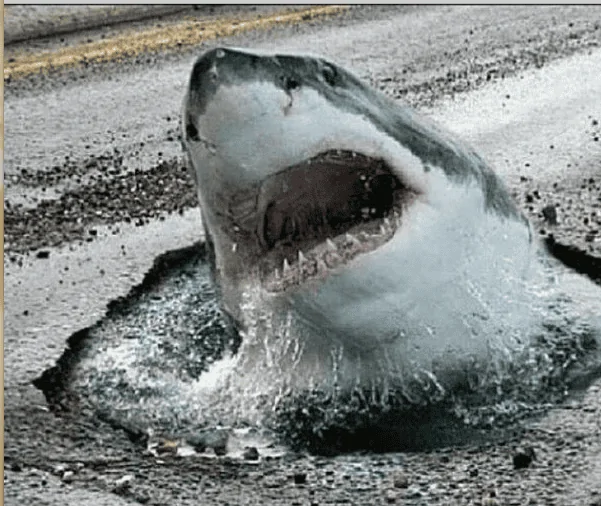 Ford Bronco Let's Be Honest About Our Intended Use pr_potholes_are_no_jok