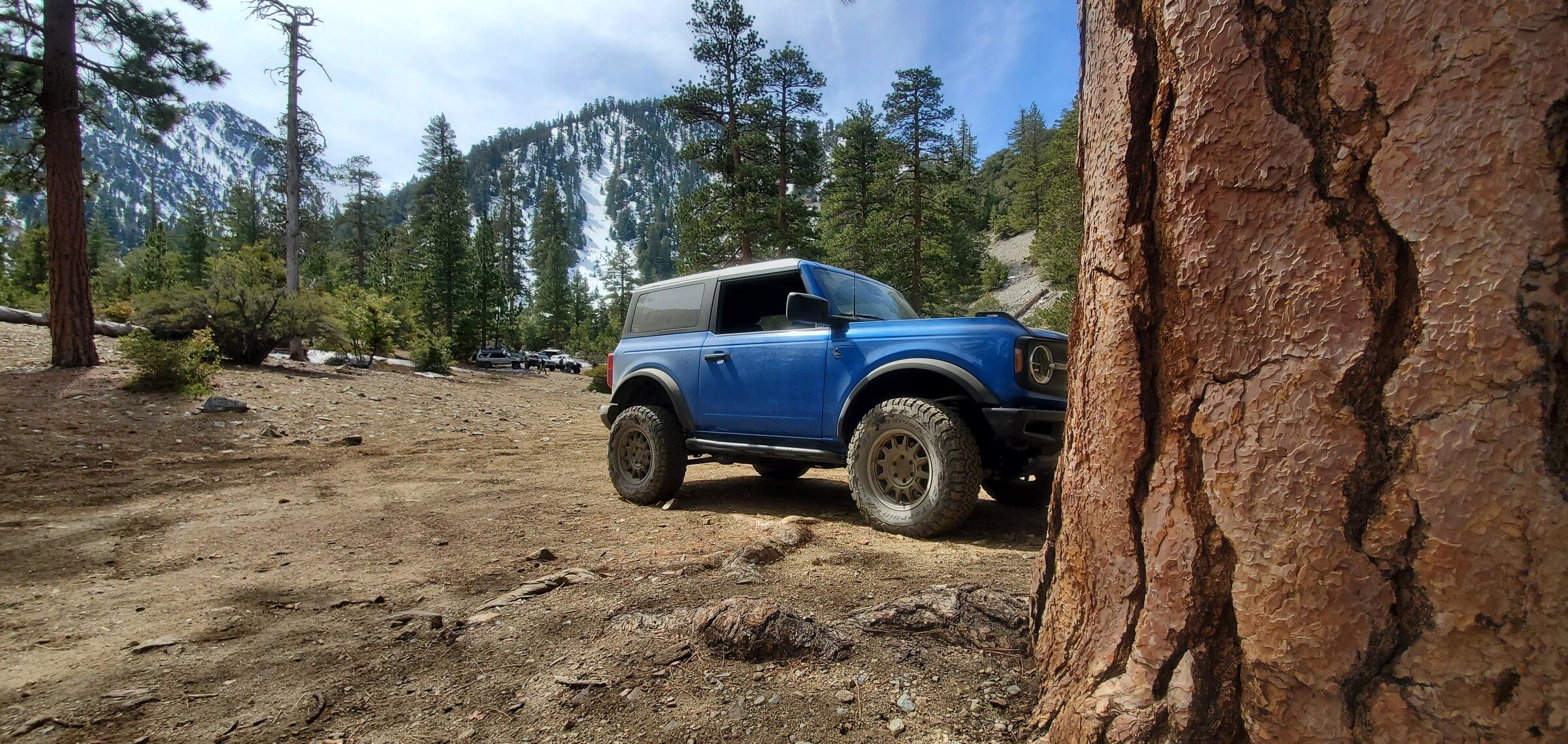 Ford Bronco Eibach 20220313_130954