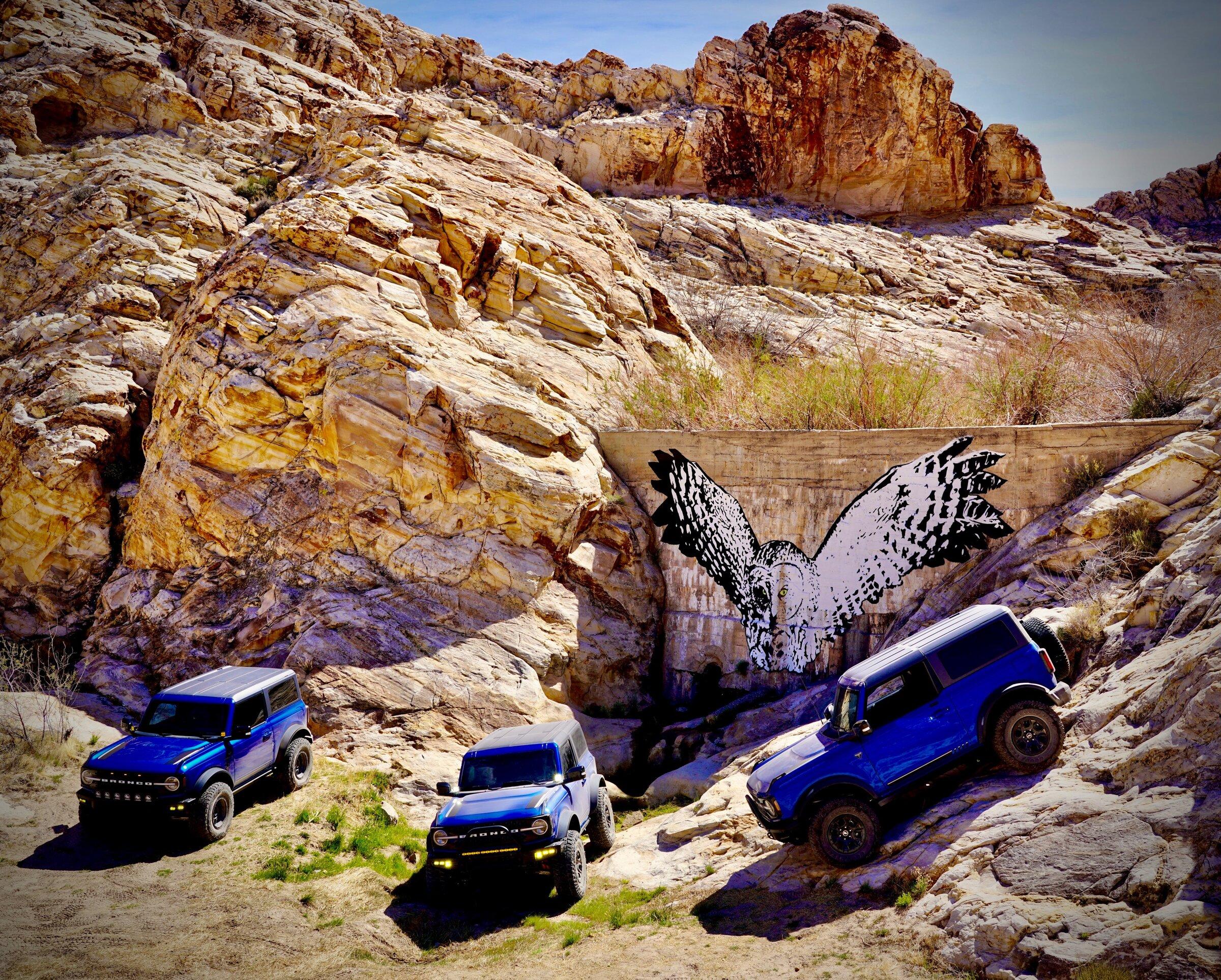 Ford Bronco TRIPLETS! A5F504BA-B7D0-421D-9564-3D1883B8413E