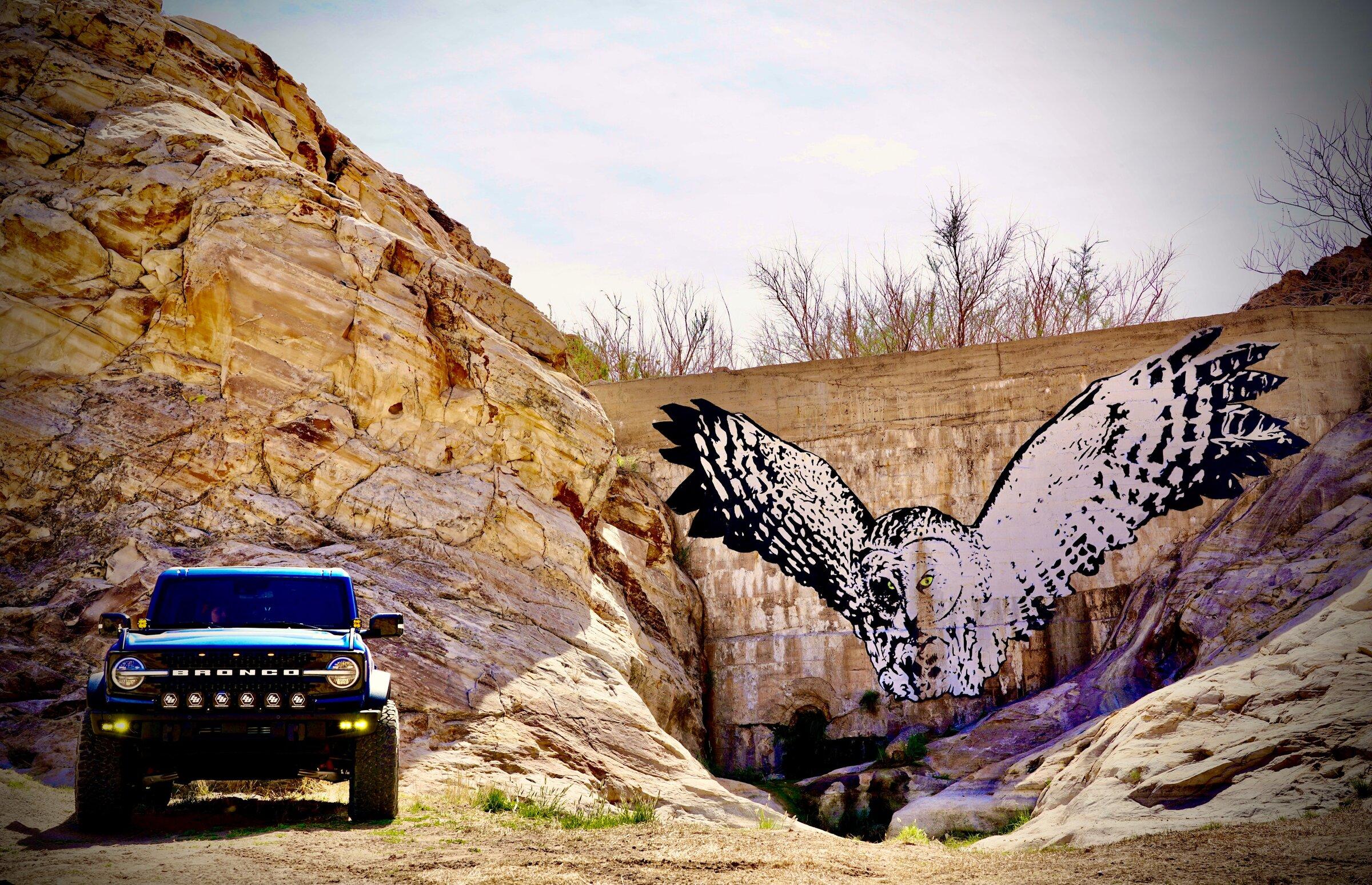 Ford Bronco TRIPLETS! AFB7A28A-C655-4E34-ADFA-FFF1555A60F7