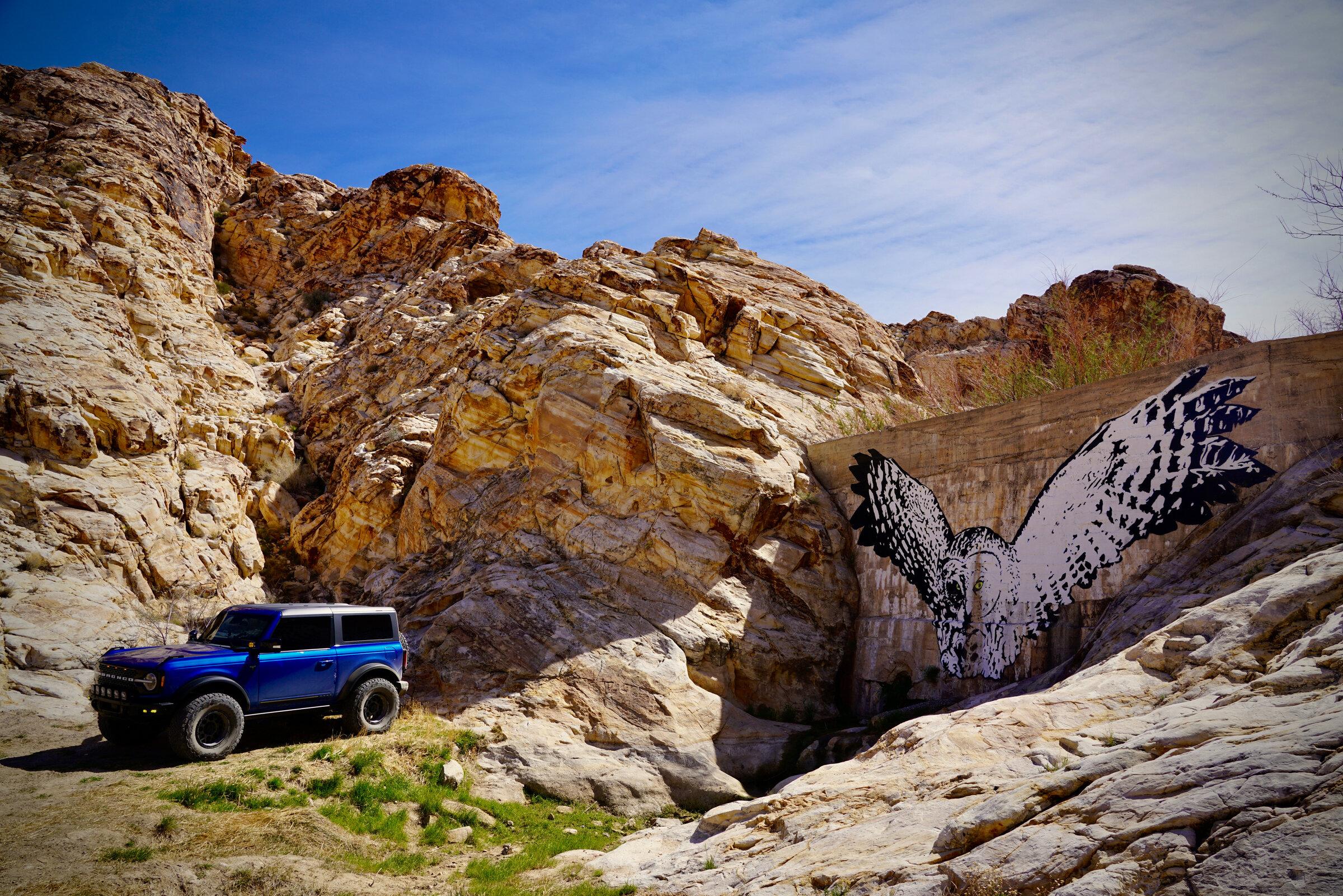 Ford Bronco TRIPLETS! B135C0A0-DDFB-4BD0-B88C-795207EC580F