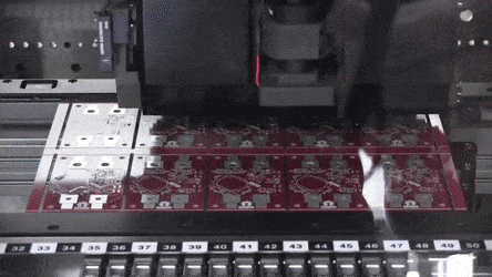 SharpOilyBichonfrise-size_restricted.gif