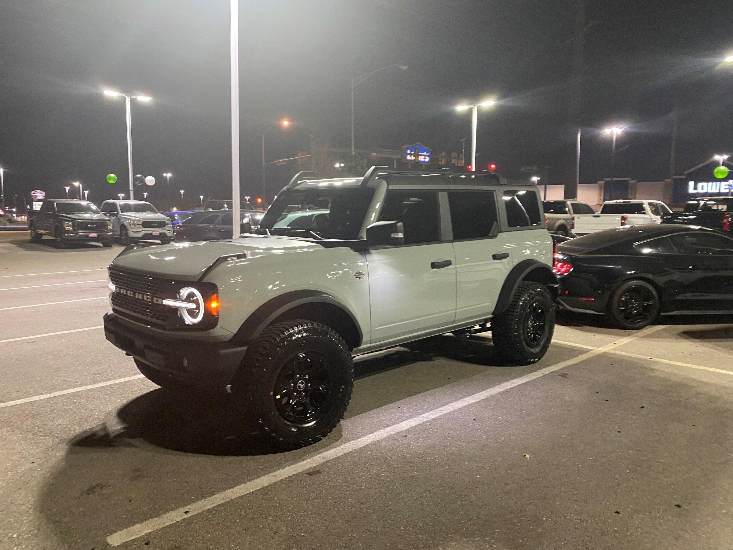 wildtrak2.jpg
