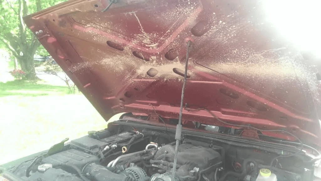 Ford Bronco Why can't we get a better dressed engine compartment? 1647558405302