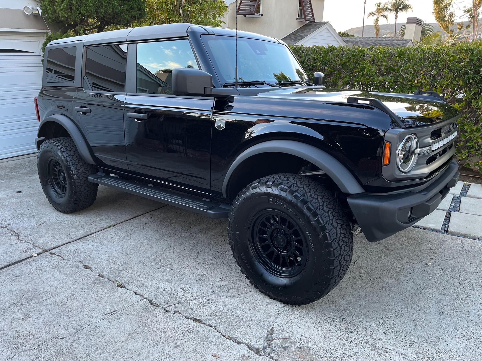 Black Beauty 1.jpg