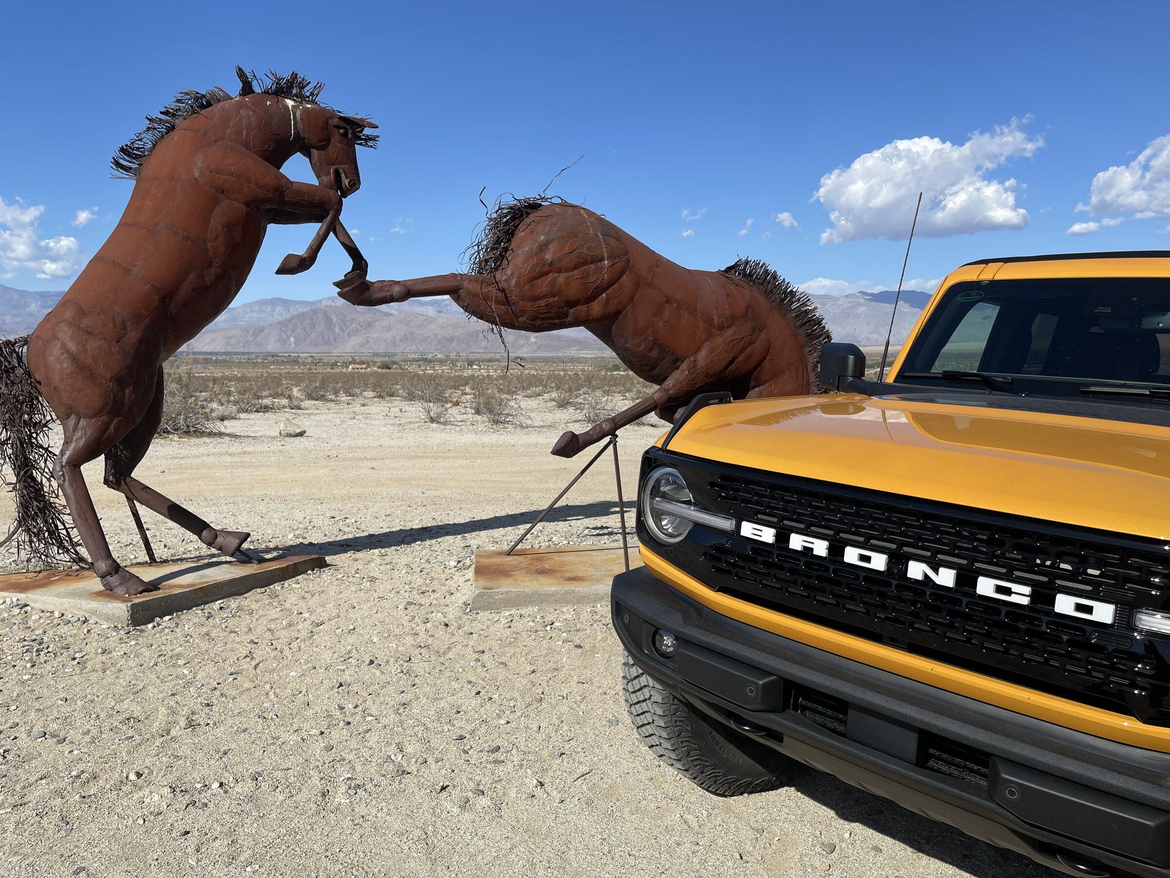 Ford Bronco Anza Borrego - Iron Broncos 5484ECB5-F32C-418A-BCB1-5B2A8B79957D