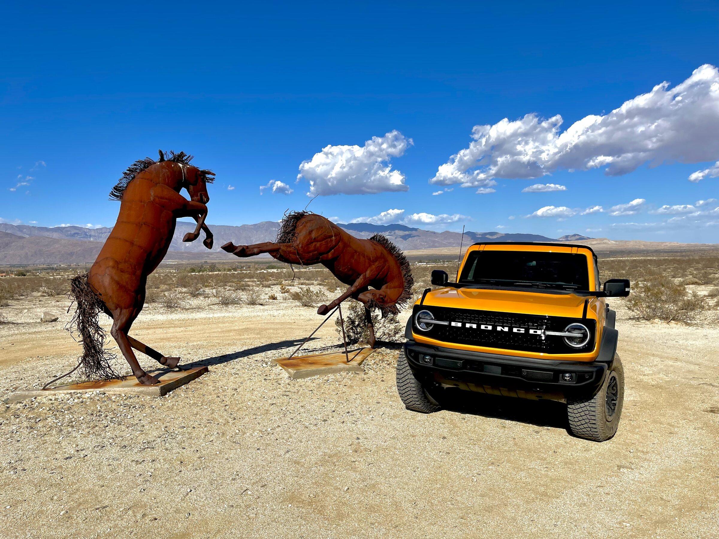 Ford Bronco Anza Borrego - Iron Broncos 40B7251D-1BE4-48EC-A4E0-C3B61AB8F5D8