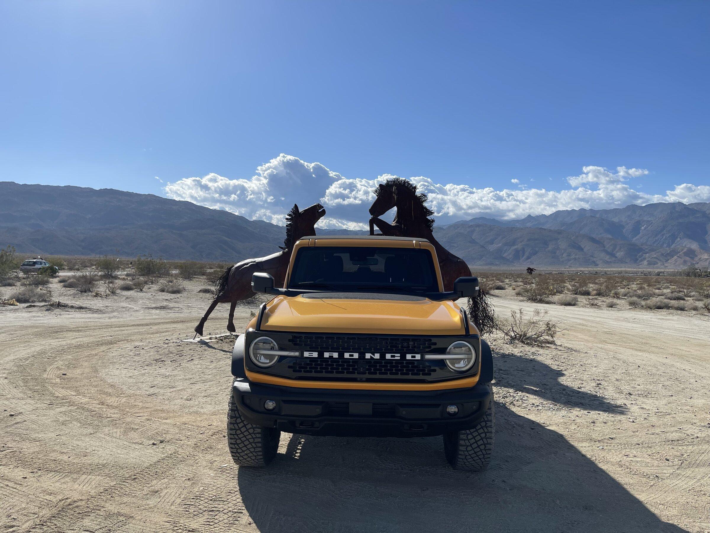 Ford Bronco Anza Borrego - Iron Broncos FAE8EC3E-4DB1-4B39-A7D4-49CE9620D403