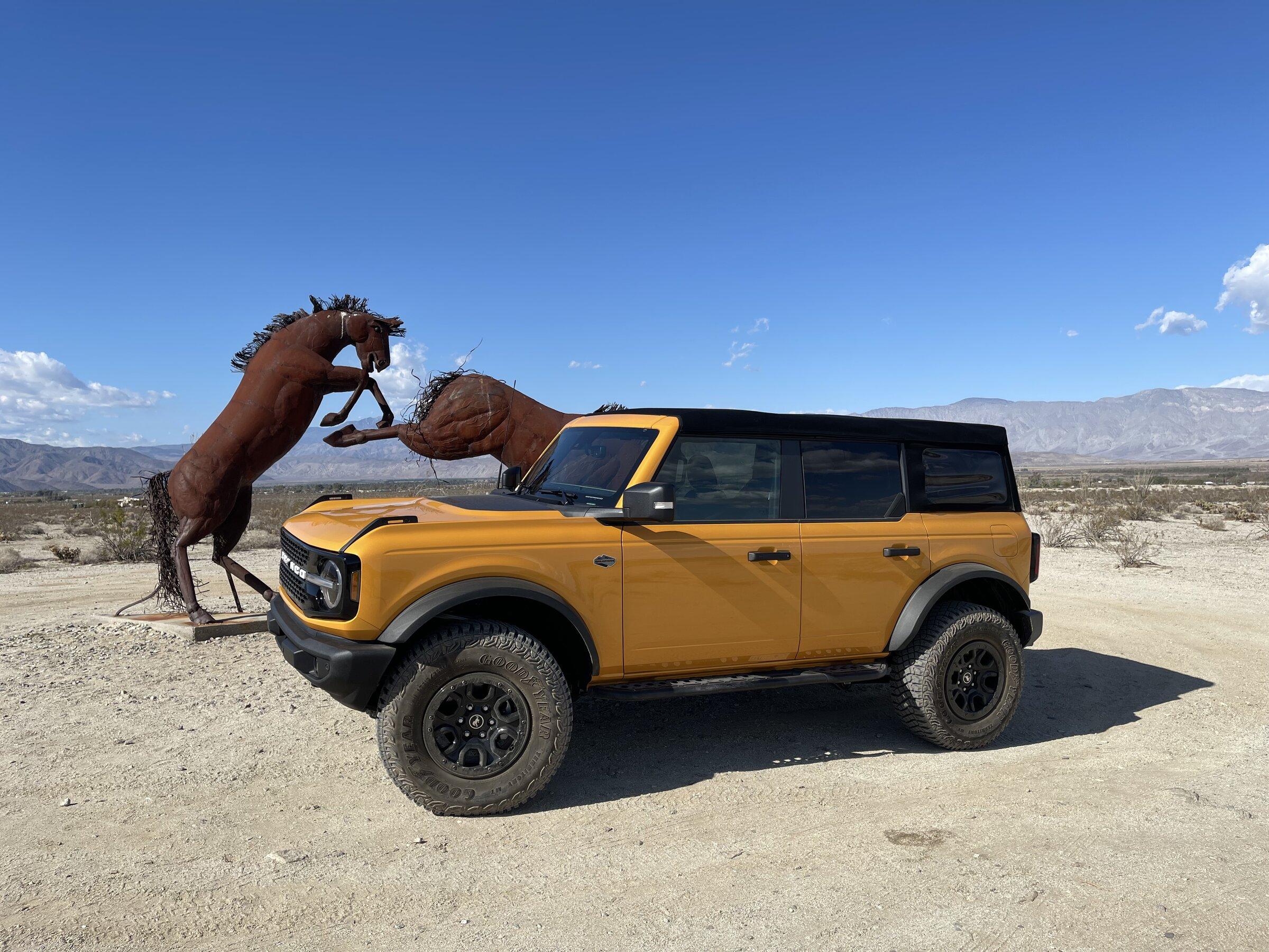 Ford Bronco Anza Borrego - Iron Broncos EBC759CC-AE60-4339-B53F-225AD2708F20