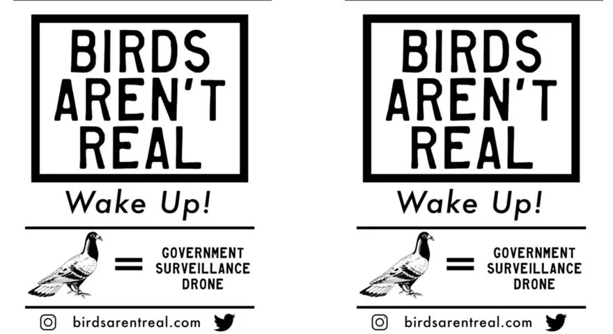 birds-arent-real-flyer-.webp