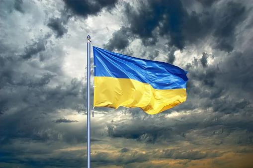 istockphoto-876656164-170667a.webp
