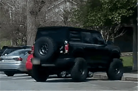 LiftedBronc2.webp