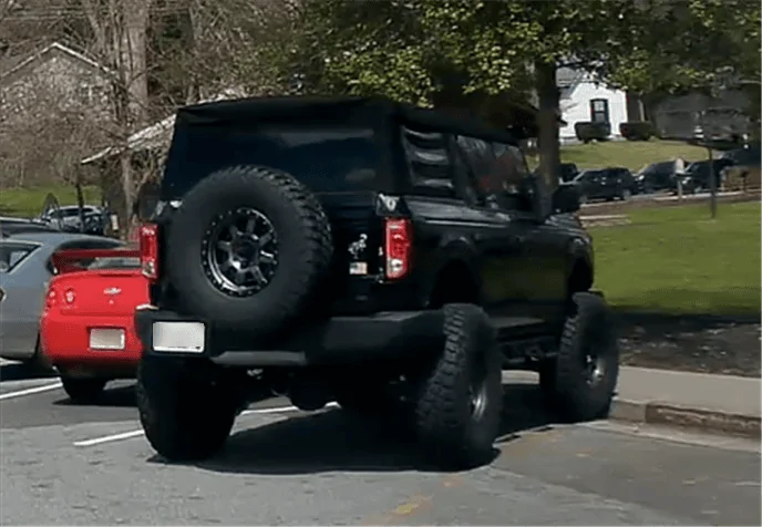 LiftedBronc.webp