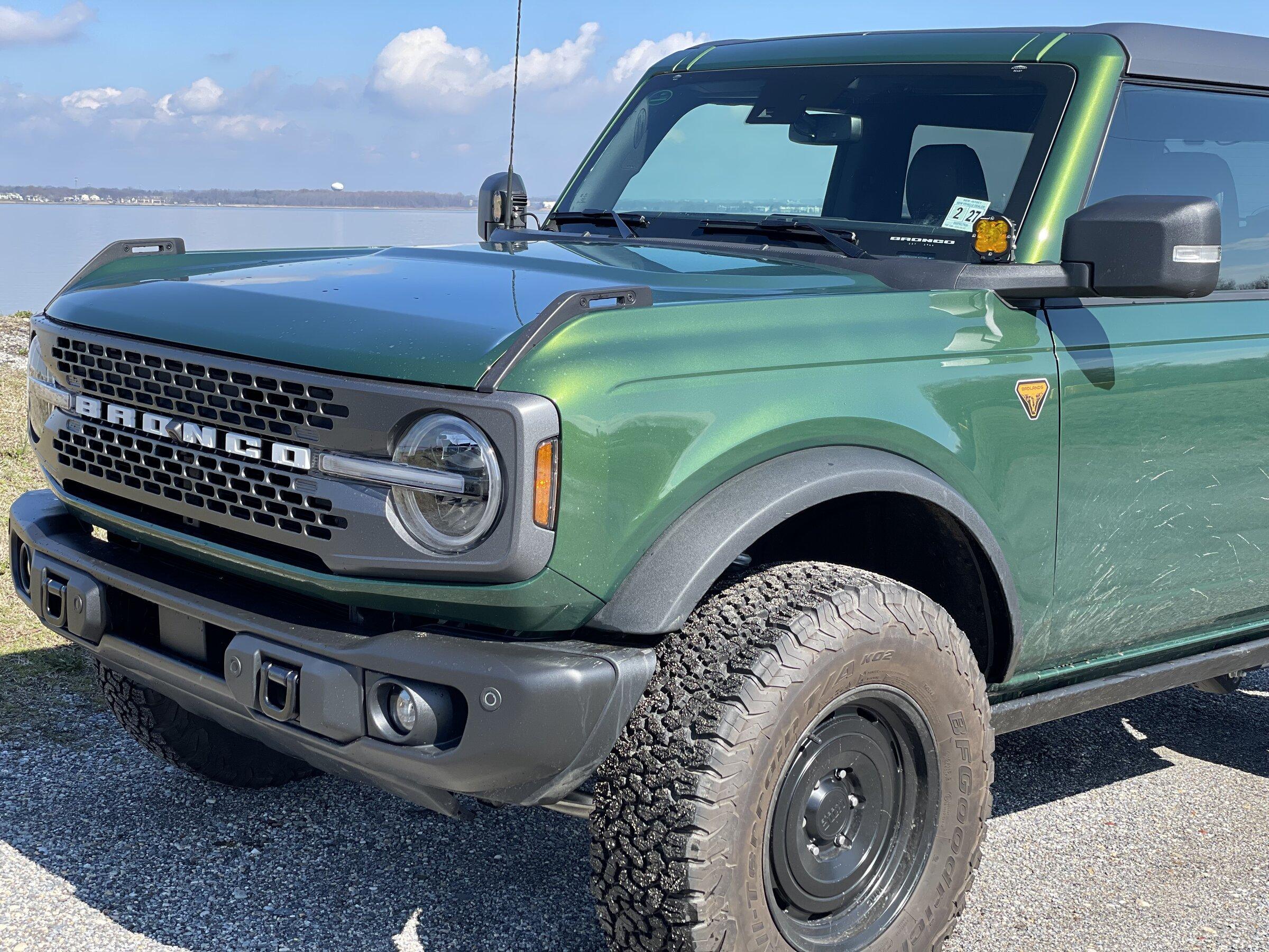 Ford Bronco NJ Marsh & Pines Build 1893EF39-B4C8-444F-9442-6FF042852CD4