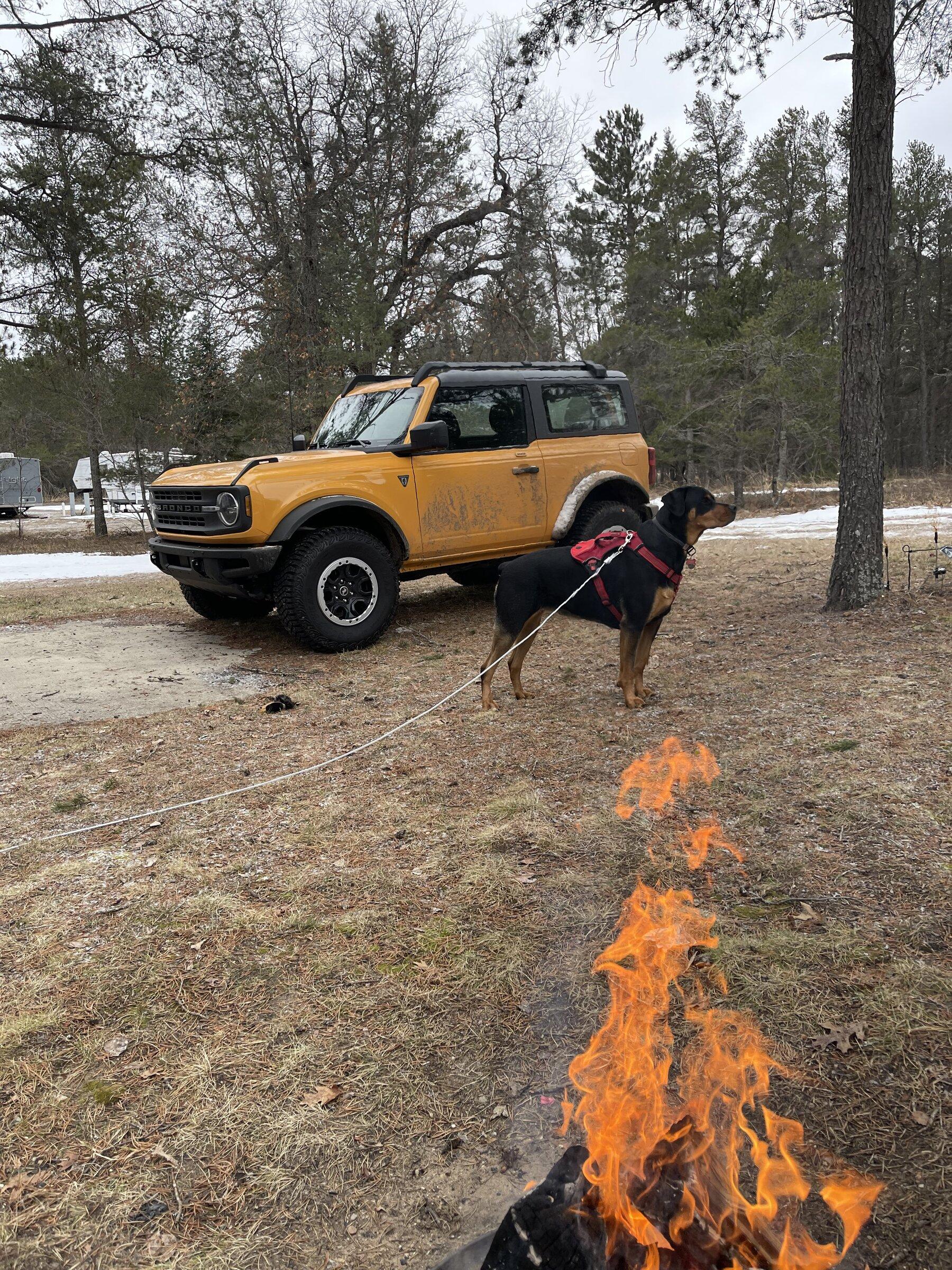 Ford Bronco First trails in the bronco! 2705E779-9EA1-485B-8D19-C3EACE4EAE2C