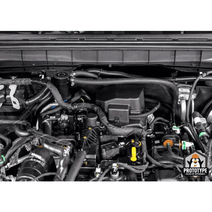 Ford Bronco Mishimoto Baffled Catch Cans NOW AVAILABLE  |  Lethal Performance MMBCC-BR23-21P_Installed_2