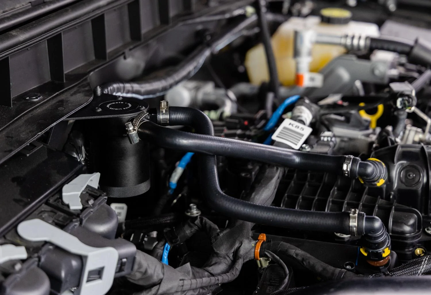 Ford Bronco Mishimoto Baffled Catch Cans NOW AVAILABLE  |  Lethal Performance NT6_7152-Edit