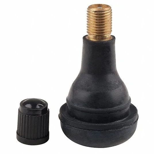 Ford Bronco Front Settled valve stem
