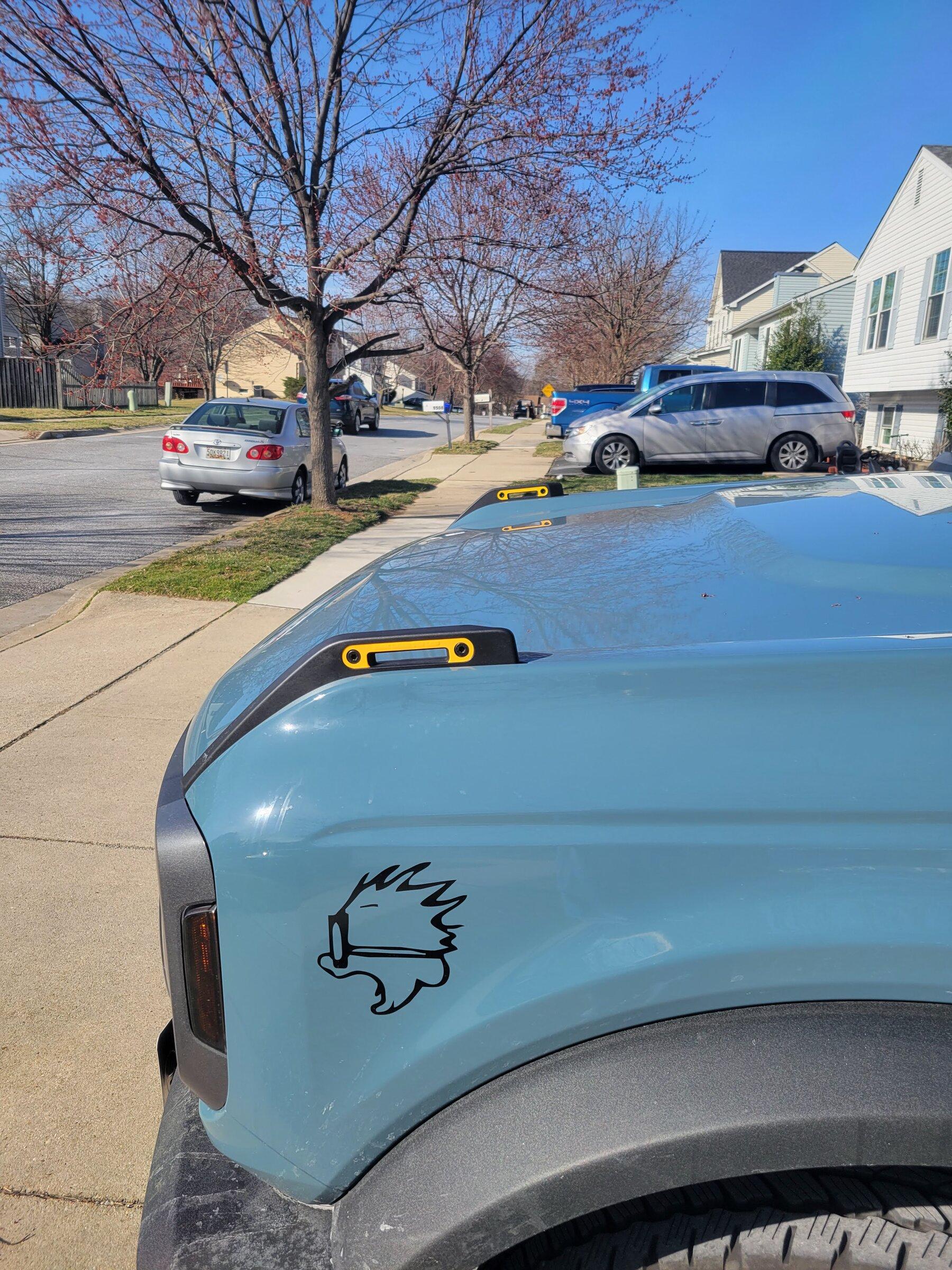 Trailsight accent.jpg