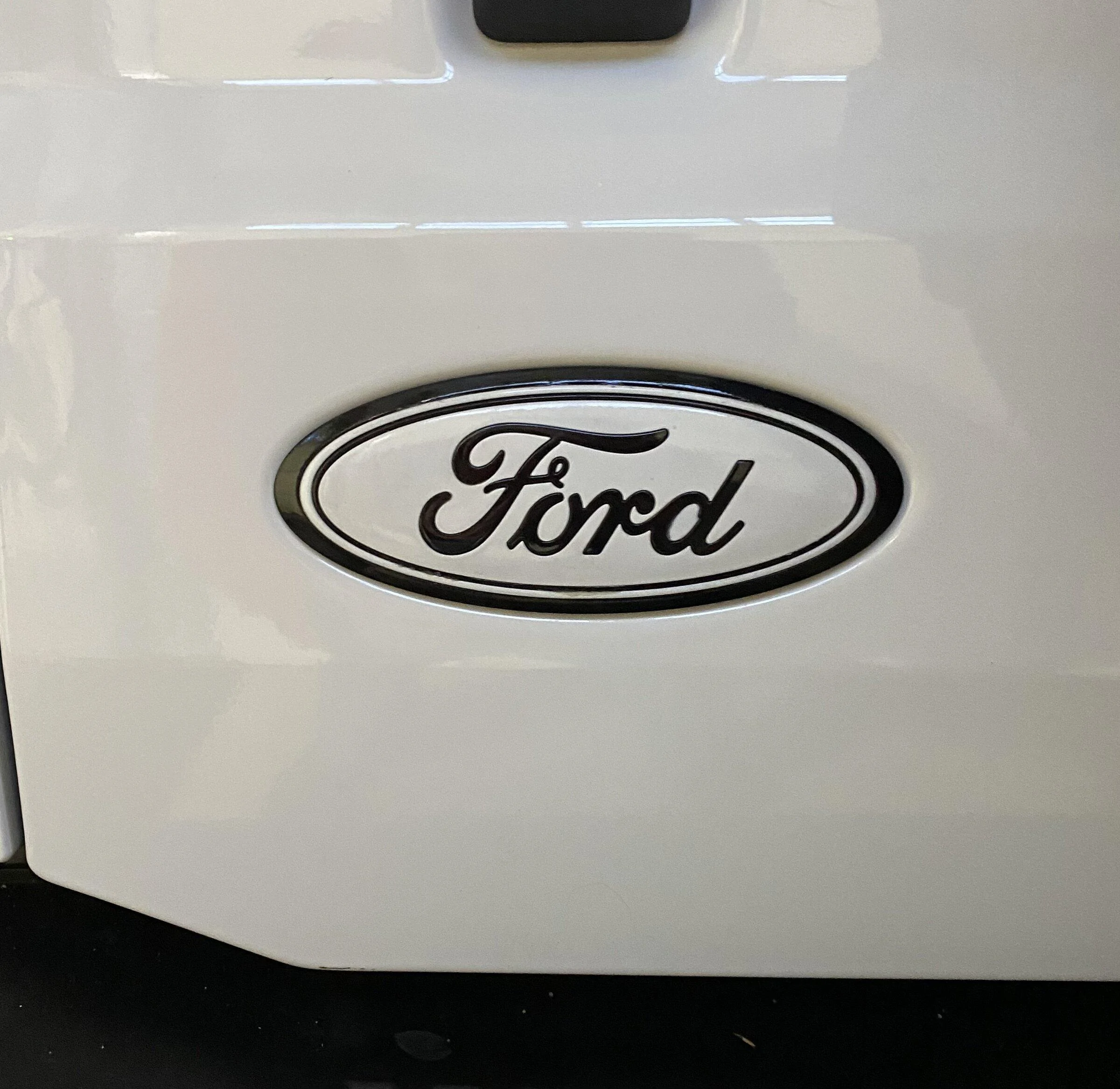 Ford Bronco White Tailgate Emblem? IMG_6866