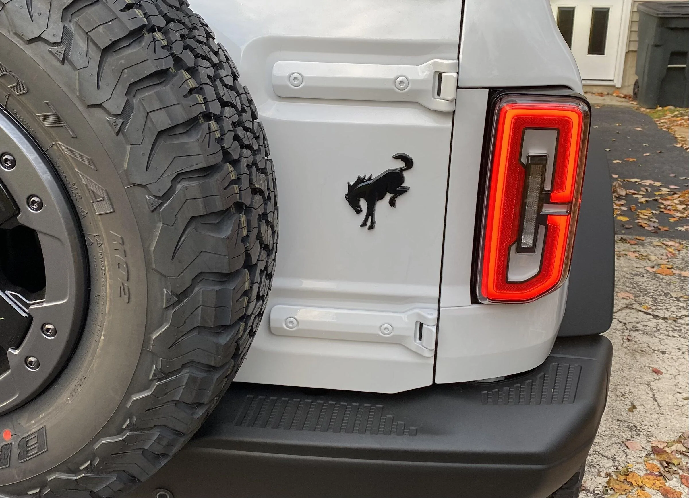 Ford Bronco White Tailgate Emblem? IMG_6690