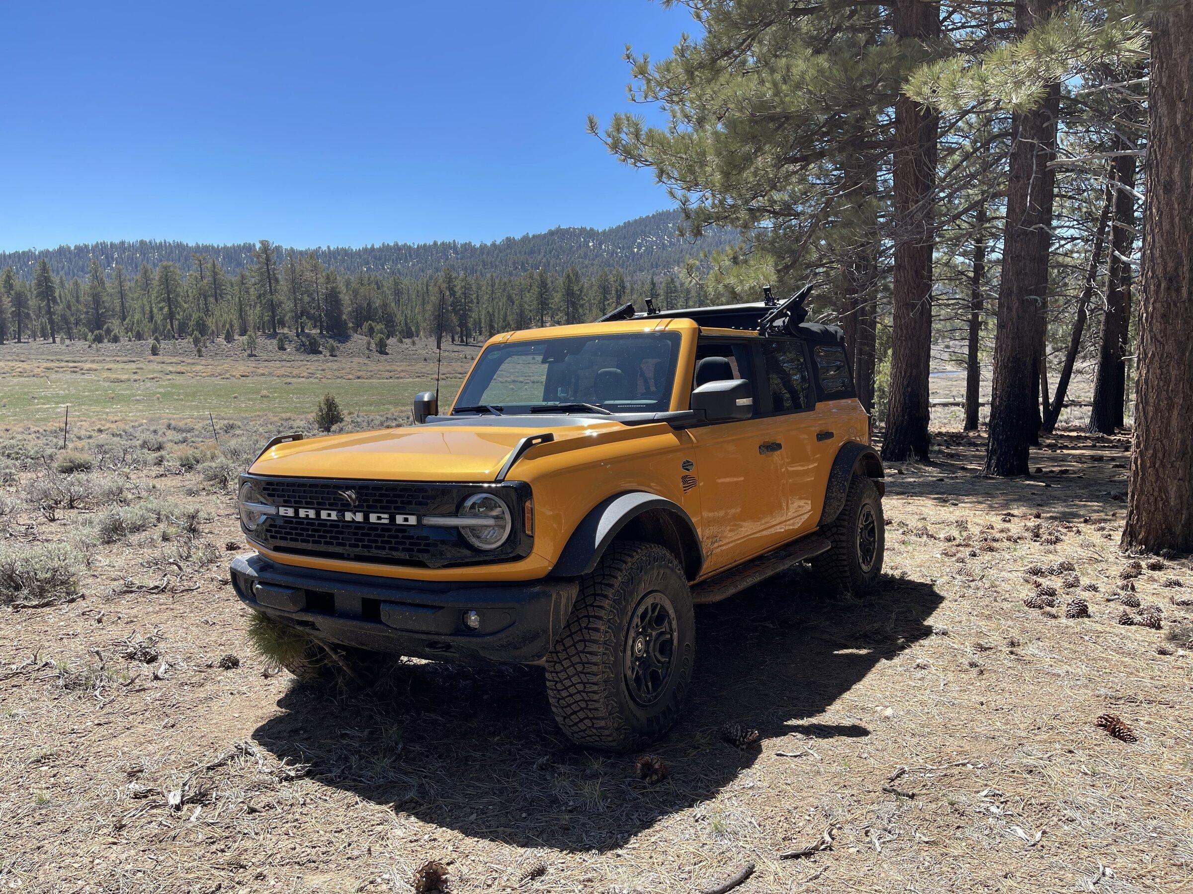 Ford Bronco Broncoing at Holcomb Valley, Big Bear, CA B676A40E-5710-4B2F-B97F-CAFA22B23A67