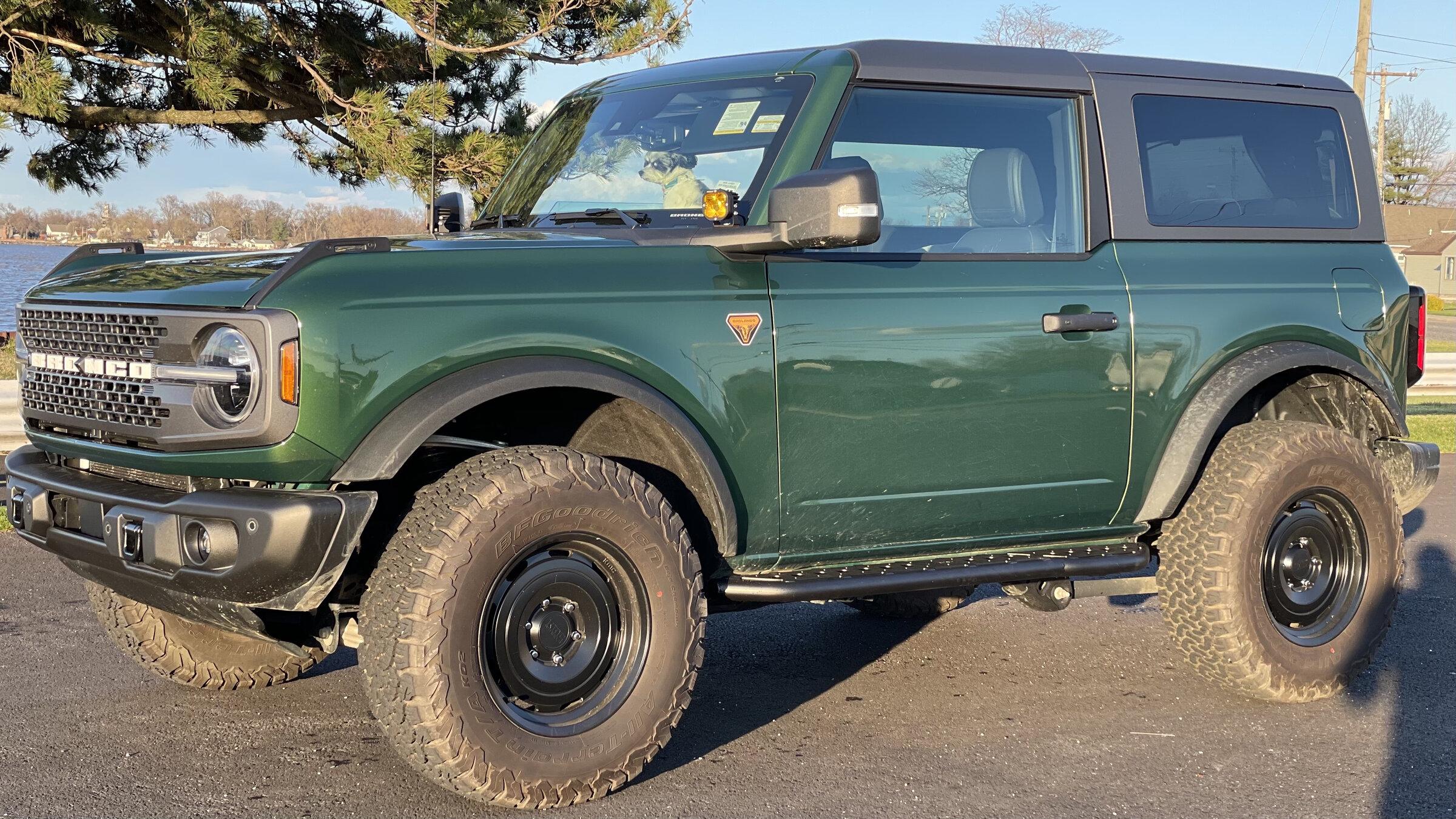Ford Bronco NJ Marsh & Pines Build 91E4725F-41B8-4CBD-80EF-E807C5E61559